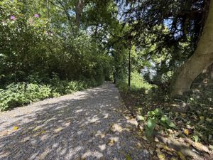 Photo 51- click for photo gallery